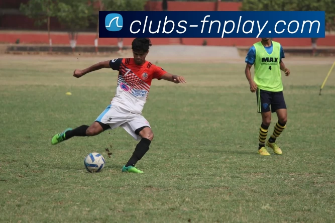 蜂鸟电竞平台品牌故事