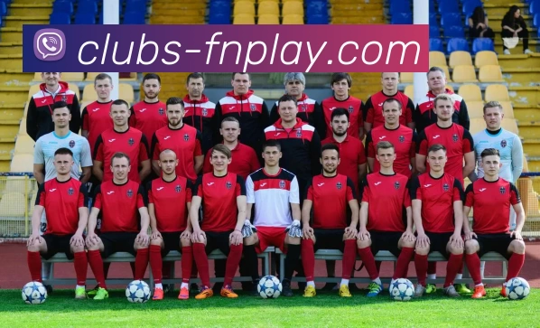 蜂鸟电竞平台服务体系